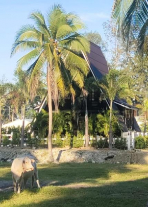 Villa Black Elephant